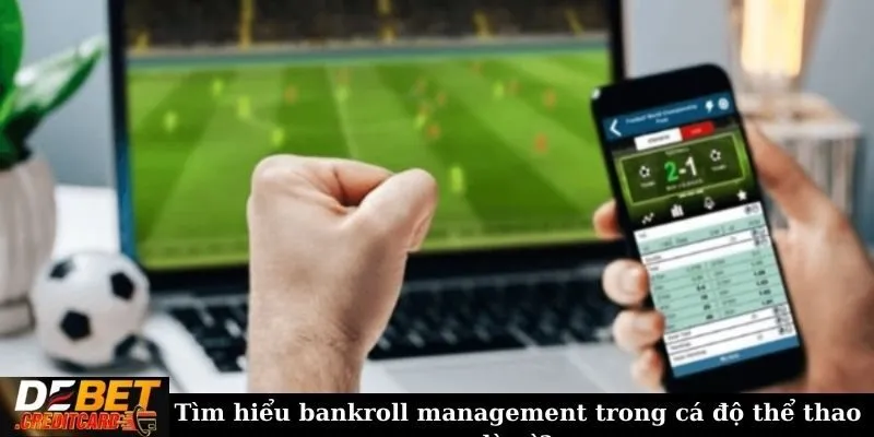 Tìm hiểu bankroll management trong cá độ thể thao là gì?
